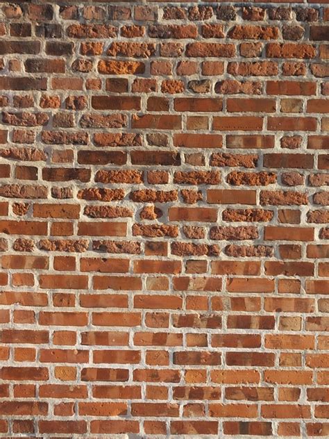 Brick Wall Free Photo On Pixabay Pixabay