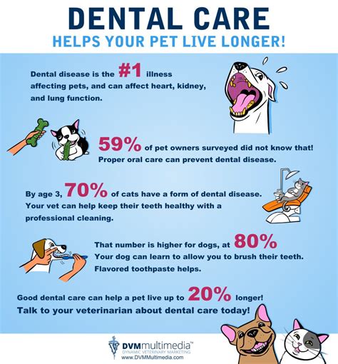 Pets Need Dental Care West Charleston Animal Hospital
