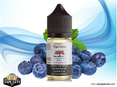 Blueberry Mint 30ml Saltnic By Ripe Vape Vape Gate Uae Shop Saltnic