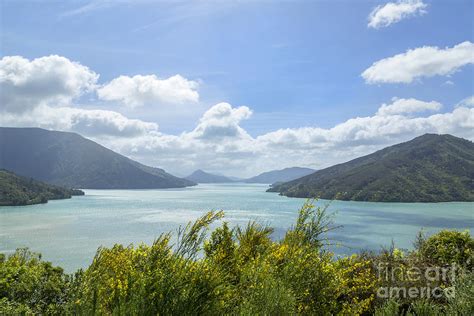 Queen Charlotte Sound New Zealand Photograph By Julia Hiebaum Fine