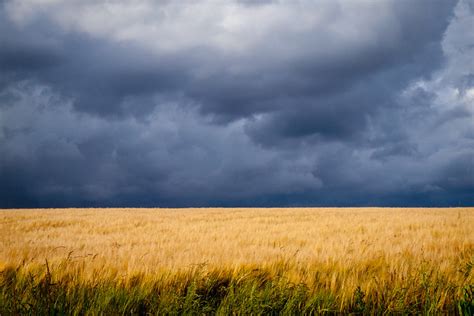 Storm Clouds Over A Wheat Field Near East Grafton In Wiltshire Flickr