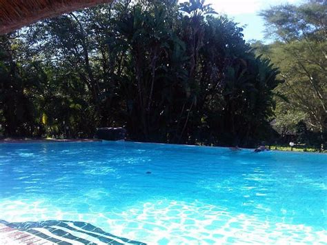 Sanbonani Hotel Resort And Spa Pool Pictures And Reviews Tripadvisor