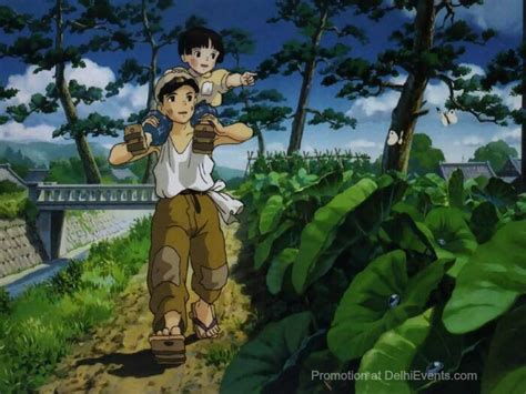 Film My Neighbour Totoro And Grave Of The Fireflies Japanese Animated