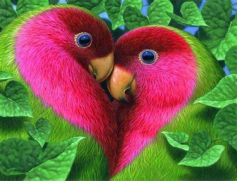 Maybe you would like to learn more about one of these? Beautiful And Romantic Love Birds - Styli Wallpapers
