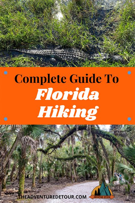The Complete Guide To Hike Florida Trails Tips And More The Adventure