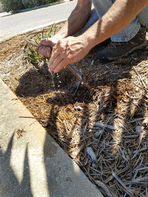 In 2016 the marshall economic development corporation, along with the chamber of commerce, voted gecko pest. Irrigation Installation & Repair - Liberty Lawn Care ...