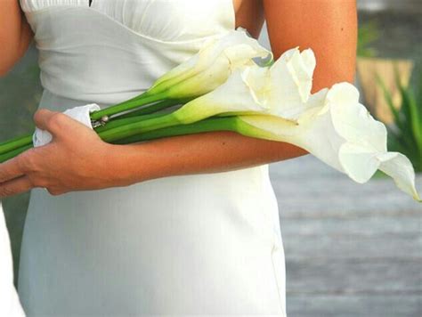 Classic Arm Sheaf Bouquet Of Large White Calla Lilies Calla Lily