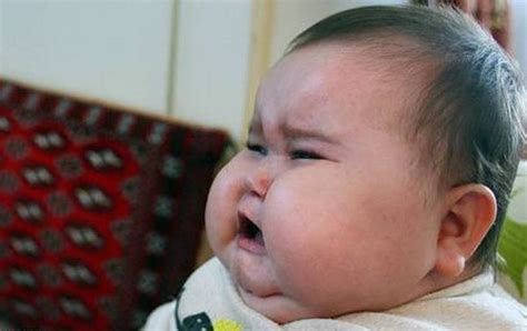 Funny Fat Baby Pictures ~ Zee Post