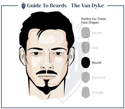 Top Facial Hair Styles For Face Shape Polarrunningexpeditions