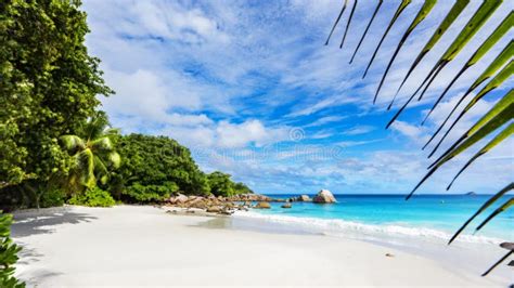 Paradise Beachwhite Sandturquoise Waterpalm Trees At Tropical Stock