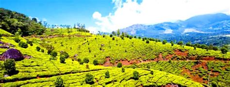 kerala holiday package life in god s own country luxury india vacations