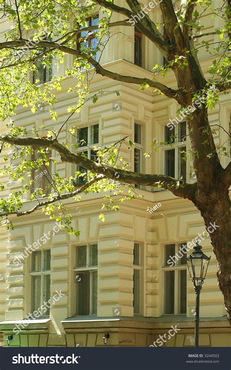 Spring Tree In Front Of An Old Apartment Building Stock