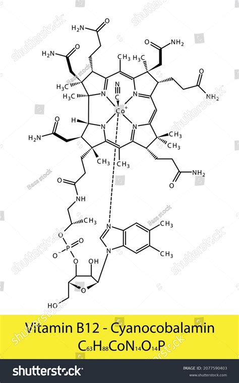 Vitamin B12 Cyanocobalamin Skeletal Structure Molecular Stock Vector