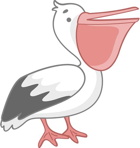 Pelican Clipart Free Download Transparent Png Creazilla