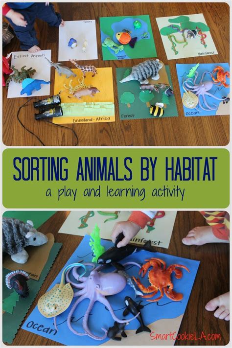 Learn mo's board activities for preschoolers, followed by 492 people on pinterest. 29 best Unit Ideas: Habitats images on Pinterest ...