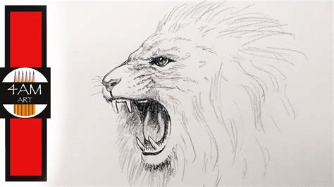 How To Draw A Roaring Lion In Pencil Step By Step Youtube