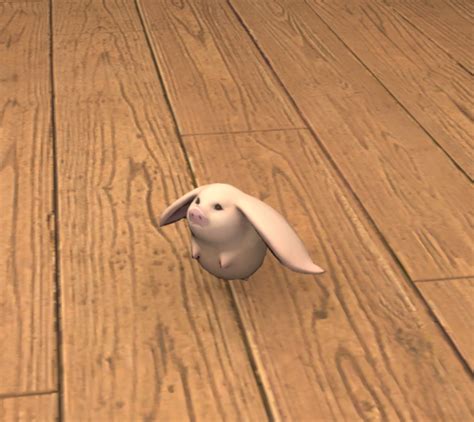 Stuffed Porxie Gamer Escapes Final Fantasy Xiv Ffxiv Ff14 Wiki
