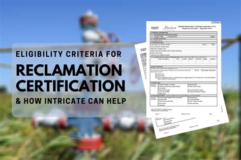 Eligibility Criteria For A Reclamation Certificate Intricate