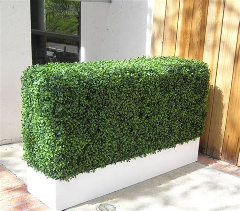 Amazing Artificial Green Grass Fence Walls Covering Hedge Engindaily