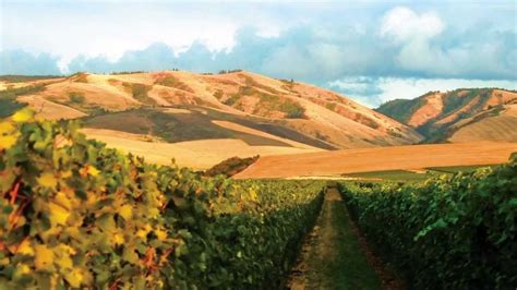 Extraordinary free stock video footage. Walla Walla Washington - YouTube