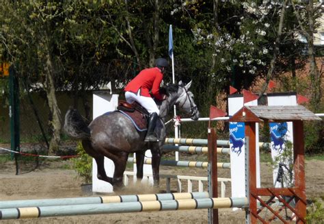 1956 1976 5 1 1 7 2 ludger beerbaum. Springreiten