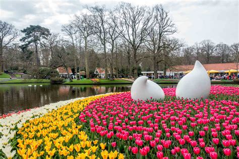 14 Fun Things To Do In Rotterdam For A Perfect Weekend 2022