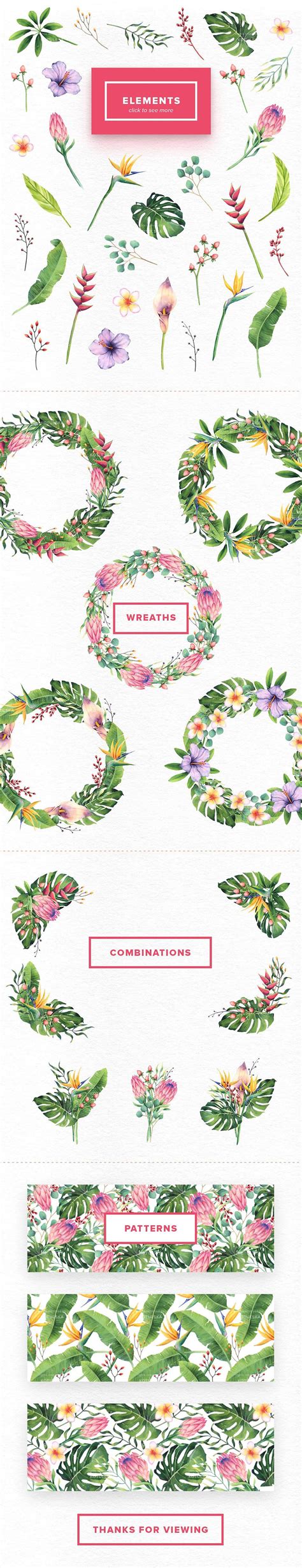 Spooky and playful halloween orchestral music in a waltz tempo. Watercolor Tropical Flowers Set | Tropical flowers, Watercolor, Flowers