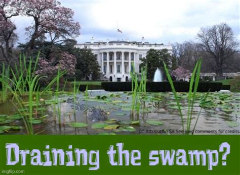 Trump Draining The Swamp Imgflip