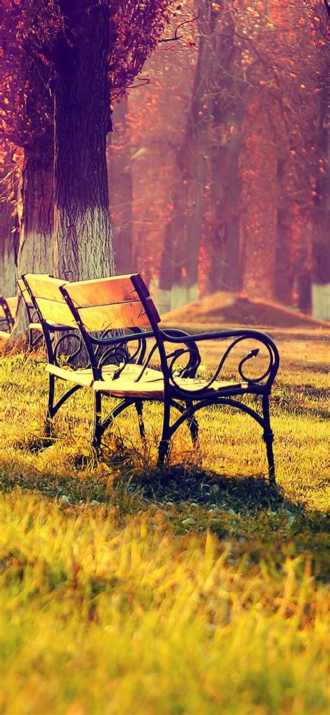 Landscape Bench Wallpapersc Iphone Xs Max