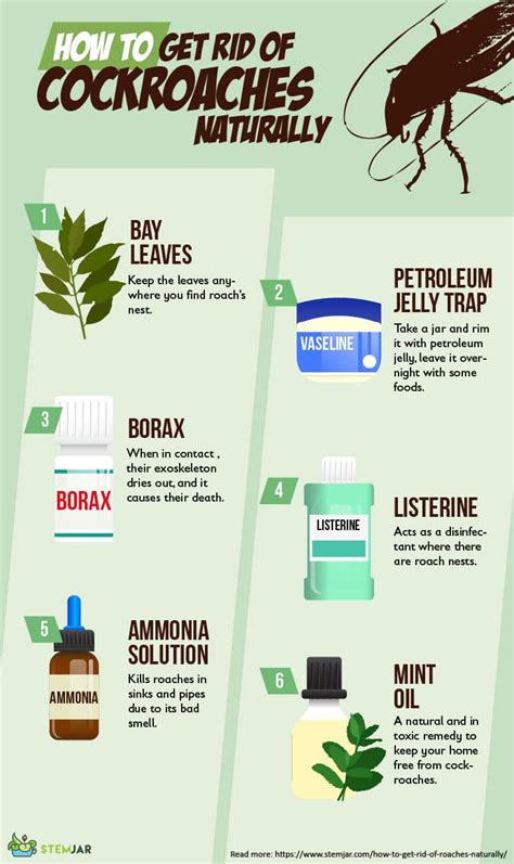 Like rats and mice, roaches don't barge into your home in any distinct or noticeable way, but rather through crevasses or cracks in your walls, damaged pipes, or by latching themselves to bags or items you carry inside. How to Get Rid of Roaches? - 6 Natural Home Remedies - Stemjar