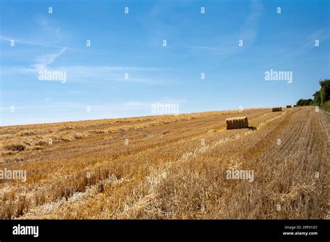 Square Straw Bales In A Field On A Sunny Summer Aternoon Wiltshire