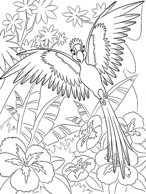Macaws live in large groups of couples and chicks. Macaw coloring pages. Download and print Macaw coloring pages