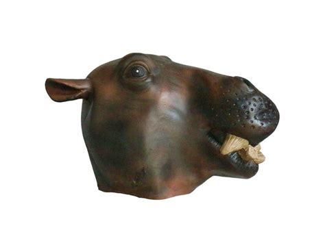 Nijlpaard Masker Mistermask Nl