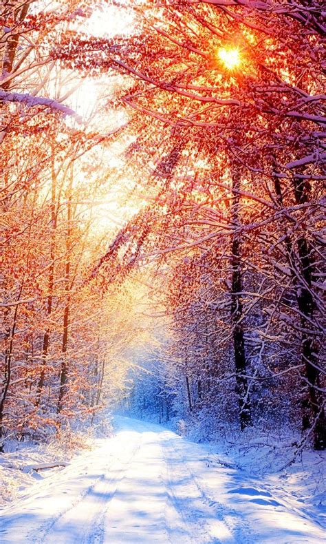 Colorful 3d Winter Wallpapers Wallpaper Cave