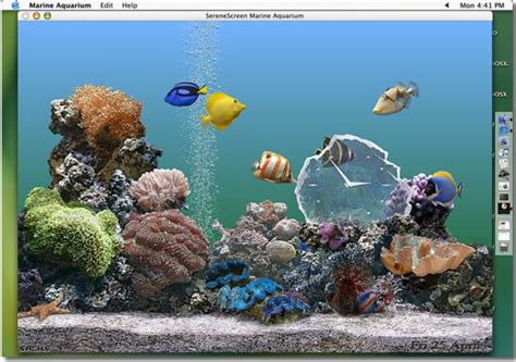 Serenescreen Marine Aquarium For Mac Download