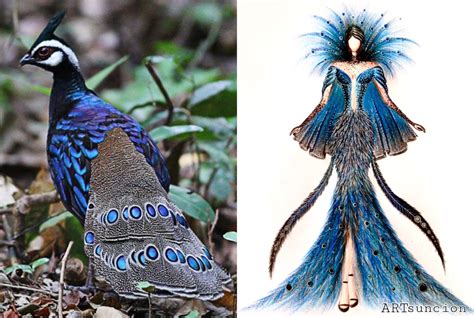 Young Fashion Designer Joshua Asuncion Creates Endangered Species