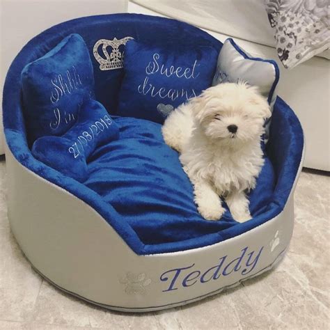 Designer Pet Beds Small Dogs Black And Sky Blue Prince Dog Bed