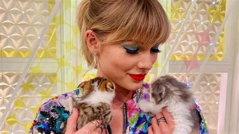Its A Pawwfect Life For Taylor Swifts Cat Hollywood Hindustan Times