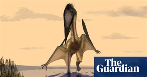 Giant Flying Reptile Terror Of Cretaceous Skies Science The Guardian
