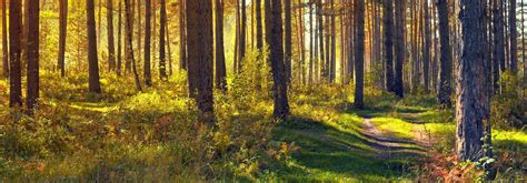 Using advanced environmental controls to reduce the level of pollutants released into the environment. MasterCraft Cabinets | Environmentally Friendly, Green ...