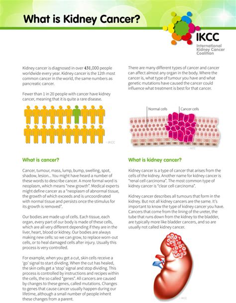 Kidney Cancer Fact Sheets Ikcc