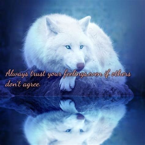 Pin By Marie Garcia On Wolves Wolf Quotes Wolf Spirit Animal Wolf