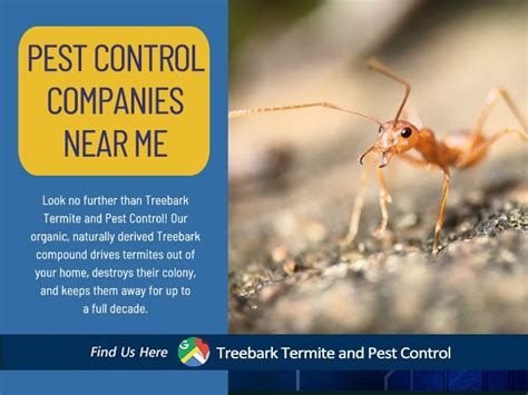 Maybe you would like to learn more about one of these? Pest Exterminator Near Me / Whether you need pest control, termite control, bed bug treatment ...
