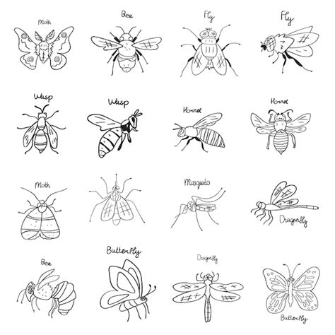 Premium Vector Flying Insects Collection Outline Vector