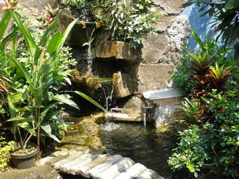 Galeri Foto - TUKANG TAMAN