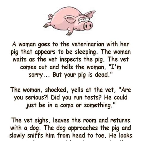 A Woman Goes To The Vet With Her Pig Funny Joke Funny Jokes Jokes