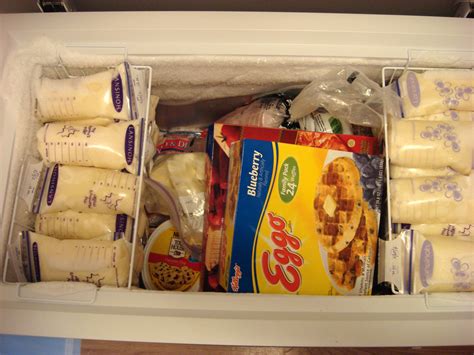 As adults the occasionally have goats milk as a treat #10 gillieworm, aug 20, 2008 The Dog Ate My Breast Milk