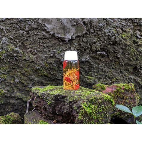 Khasiat buah merah pada penderita darah tinggi. Pembesar Payudara Minyak Bulus Ginseng Merah Asli Ori 10ml ...