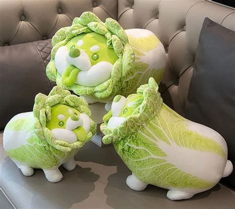 Vegetable Fairy Series Cabbage Dog 30cm Plush Tokyo Otaku Mode Tom