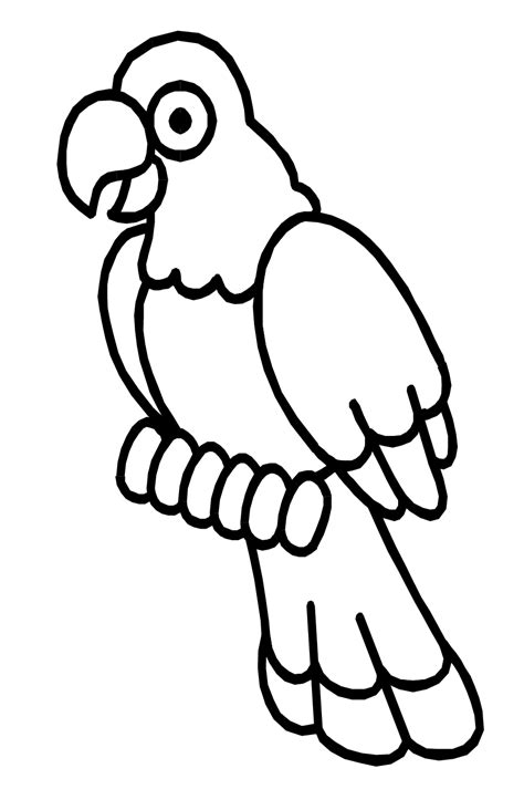 Parrot Colouring Sheet Parrot Coloring Sketch Macaw P